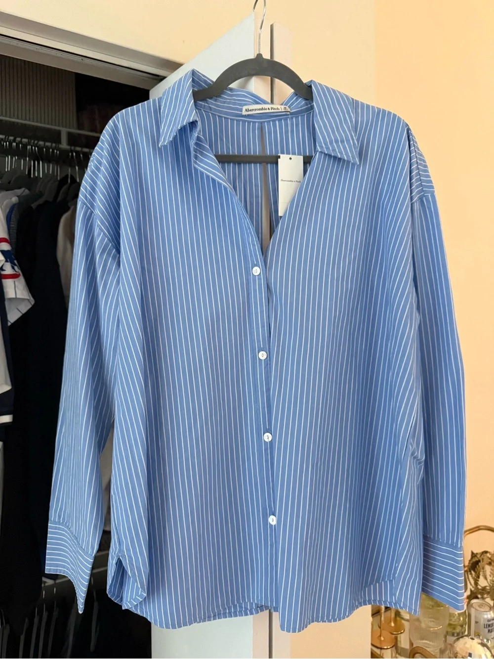 Abercrombie & Fitch Open Back Blue/White Pinstripe Women’s Button-up Shirt